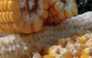 ПР39А50 / PR39A50
