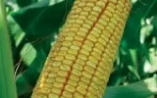 ПР38Р92 / PR38R92