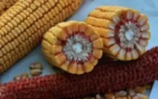 ПР38А79 / PR38А79