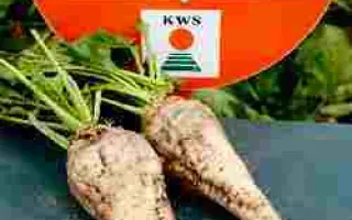 Олесия КВС F1