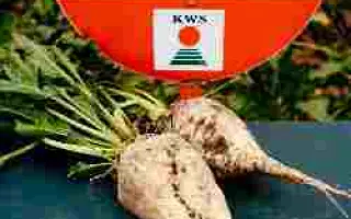 Алена КВС Rz F1