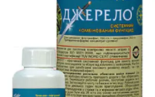 Джерело