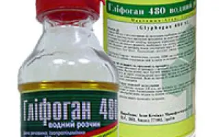 Глифоган 480