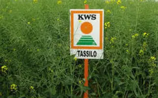 ТАССИЛО F1 / TASSILO F1