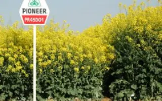 ПР45Д01 / PR45D01