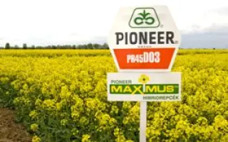 ПР45Д03 / PR45D03