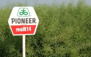 ПР46В14 / PR46W14