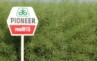 ПР46В15 / PR46W15