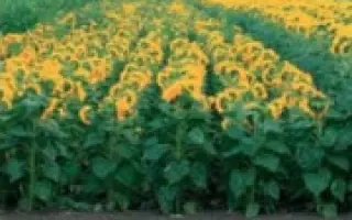 ПР62А91 / PR62A91