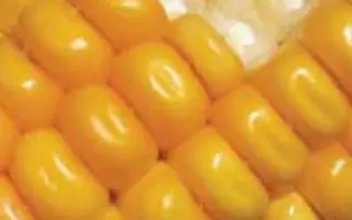 ЛГ 3232 / LG 32.32