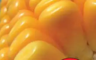 ЛГ 3350 / LG 33.50