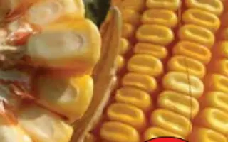 ЛГ 3395 / LG 33.95