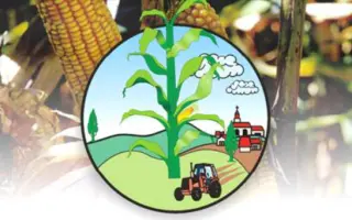 Крази КС / Crazi CS