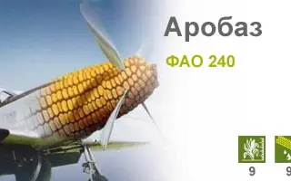 Аробаз / Arobase