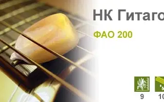 НК Гитаго