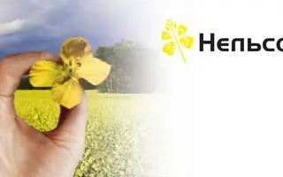 Нельсон / Nelson