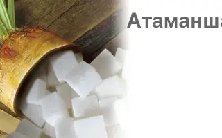 Атаманша
