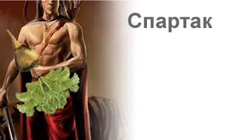 Спартак