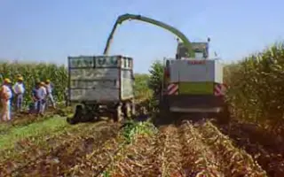 Торонто / Toronto