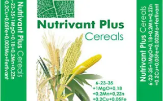 Нутривант Плюс Зерновой