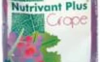 Нутривант Плюс Виноград