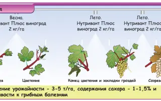 Нутривант Плюс Виноград