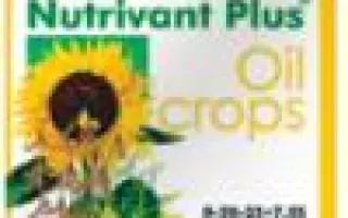 Нутривант Плюс Масличный