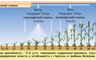 Нутривант Плюс Пивоваренный ячмень