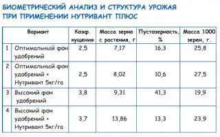 Нутривант Плюс Рис