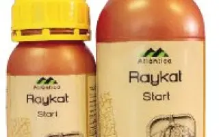 РАЙКАТ СТАРТ