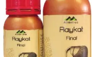 Райкат финал