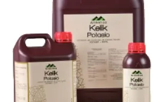 Келик Калий