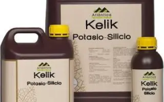 Келик Калий-Кремний