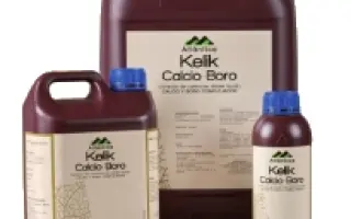 Келик Кальций-Бор