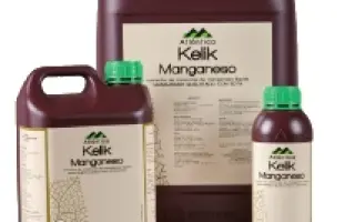 Келик Марганец