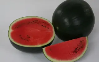 Ред Стар F1 / Red Star F1