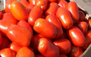 Классик F1 / Classic F1