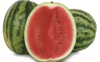 Долби F1 / Dolby F1