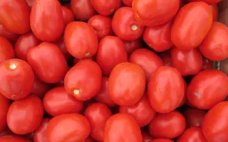 Адванс F1 / Advance F1