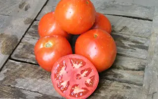 Ламантин F1 / Lamantin F1