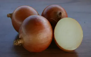 Валеро F1 / Valero F1