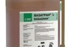 Базагран