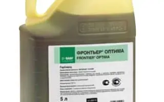 Фронтьер Оптима