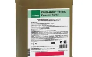 Пирамин Стар