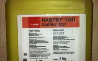 Кабрио Топ