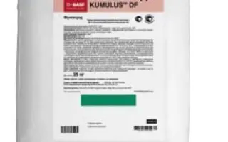 Кумулюс ДФ