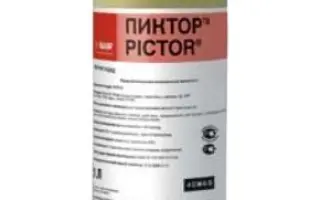 Пиктор / Pictor