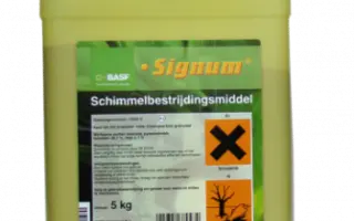 Сигнум / Signum