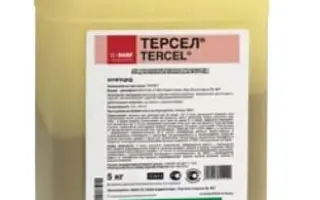 Терсел / Tercel