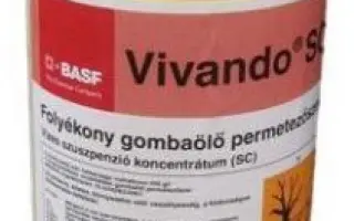 Вивандо / Vivando